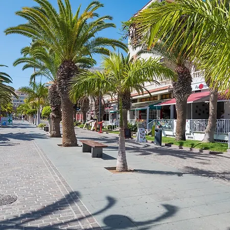 Modern Cristianos Center * Los Cristianos (Tenerife)